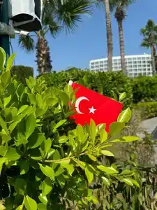 Crystal Centro Resort - Ultimate All Inclusive - 53