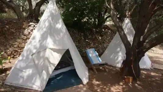 Shiva Camp - 64