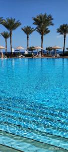 Pickalbatros Royal Grand Sharm - Adults Friendly 16 Years Plus - 72