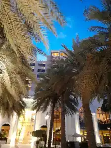 Premier Inn Abu Dhabi Airport (Business Park) - 1