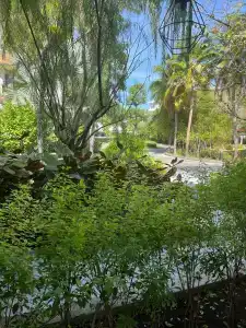 R-Mar Resort and Spa - SHA Plus - 26