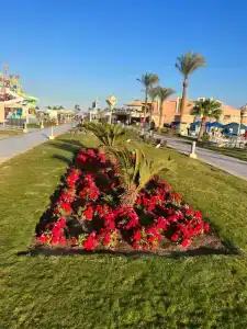 Pickalbatros Aqua Vista Resort - Hurghada - 56