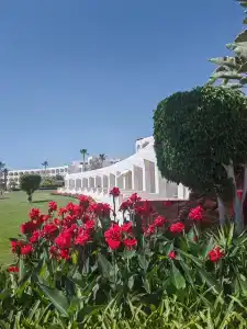 Baron Palms Adults Friendly Only 16 years plus Boutique Style - 22