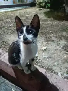 Ambassador Plaza - 90