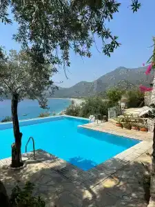 Beyaz Yunus - Adult Only - 48