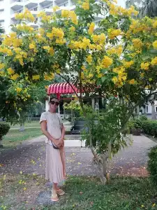 Pattaya Park Beach Resort - 76