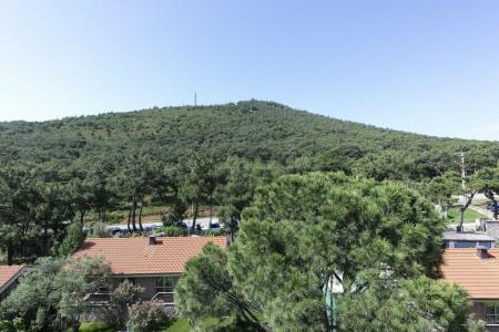 D Resort Murat Reis Ayvalik - 22