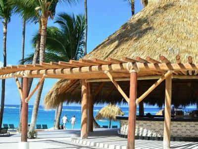 Royalton Punta Cana, An Autograph Collection All-Inclusive Resort & Casino - 29