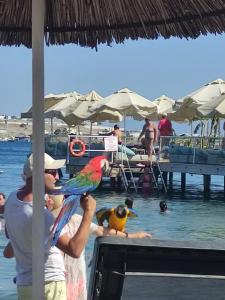 Otıum Park Ayaz Aqua Beach - 34