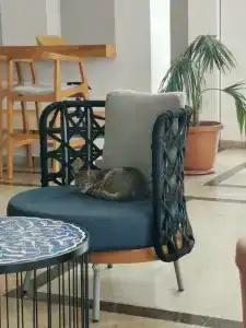 AQI Hydros Club - 67