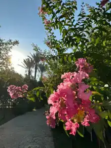 Belconti Resort - 46