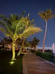 Beach Rotana - Abu Dhabi - 29