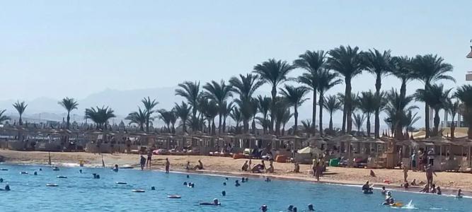Beach Albatros Resort - 77