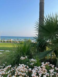 Piere - Anne Beach - 27