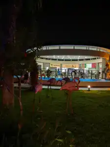 Amons Belek - Adult Only - 58