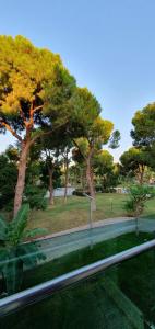 TUI Magic Life Masmavi - 42