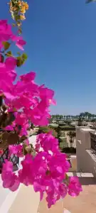 Jaz Mirabel Resort - 49