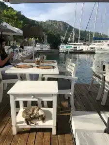 Yacht Classic - Boutique Class - 23