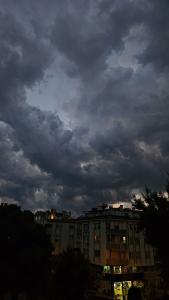 Halıcı Marmaris - 77