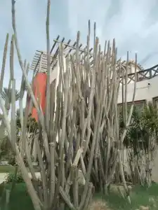 Rehana Sharm Resort - Aquapark & Spa - Couples and Family Only - 84