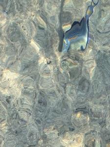 Amphoras Beach - 54