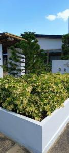 JW Marriott Khao Lak Resort and Spa - 82