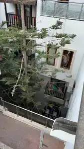 DIAMOND OF BODRUM - 58