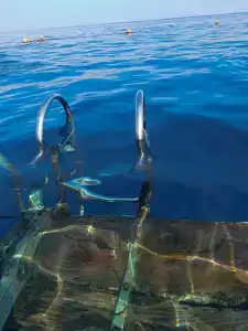 Dreams Vacation Resort - Sharm El Sheikh - 42
