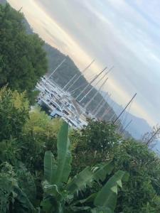 Yacht Classic - Boutique Class - 67