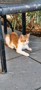 Club Tuana Fethiye - All Inclusive - 97