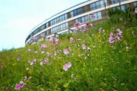 Kempinski Berchtesgaden - 8