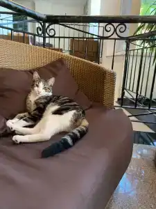 Akka Claros - All Inclusive - 53