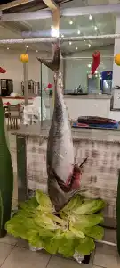 Side Resort Annex - 82