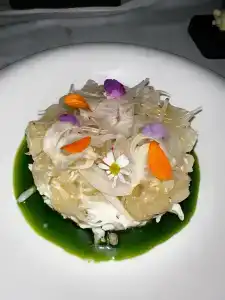 Kata Rocks - SHA Extra Plus - 71