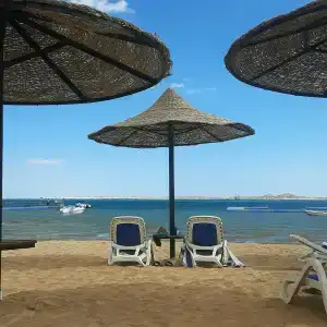 Ivy Cyrene Sharm Resort Adults Friendly Plus 13 - 37