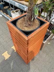 Liberty Fabay - Ultra All Inclusive - 82