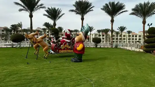 Pickalbatros Dana Beach Resort - Hurghada - 5