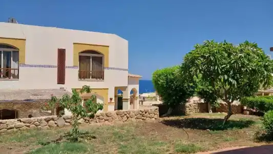 Amphoras Blu - 15