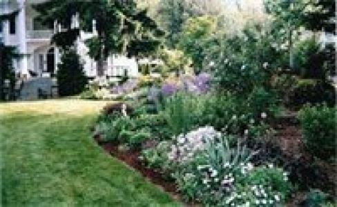 Albemarle Inn - Asheville - 50