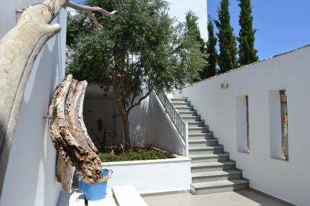 Diamond Deluxe - Adults Only - 29