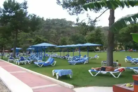 ROBINSON CAMYUVA - Adults only - 11