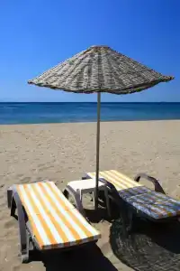 Club Cactus Paradise - 39