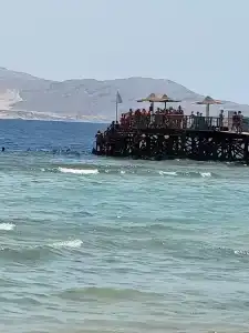 Rehana Royal Beach Resort - Aquapark & Spa - Family & Couples Only - 37