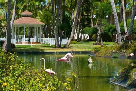 Be Live Collection Punta Cana - All Inclusive - 7