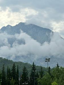 Mirage Park Resort-Ultra All Incl. - 43