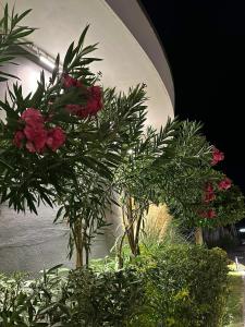 Mylome Luxury & Resort - 85