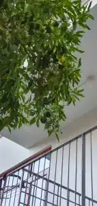 Delight Deluxe & Spa - 63