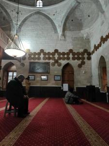 Srbija Garden Ex Garni - 5