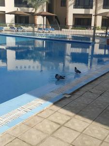 Blend Club Aqua Resort - 10