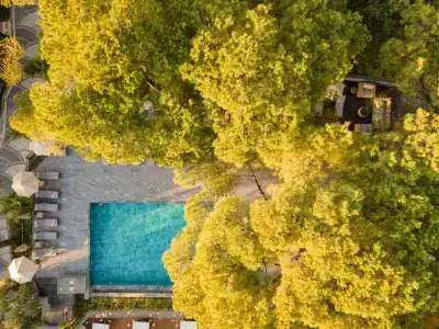 Unique Life Style - 11